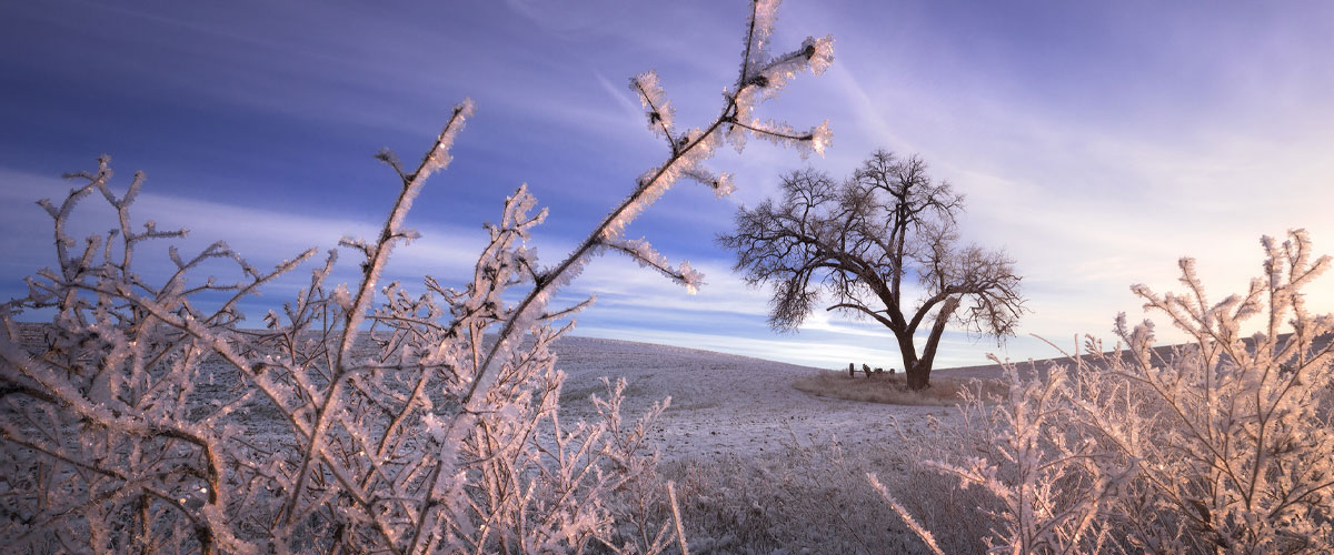 To get both the foreground and background of this winter landscape in focus, Nick Page shot the scene using the focus stacking technique. 
