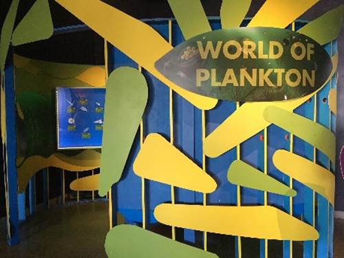 WoPechoExteriorInstallation